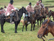 Equateur - démonstration de lasso par un chagra - Randonnée équestre de rassemblement des troupeaux - Randocheval / Absolu voyages